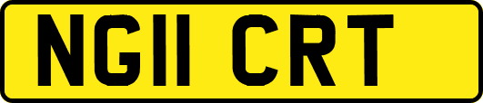 NG11CRT