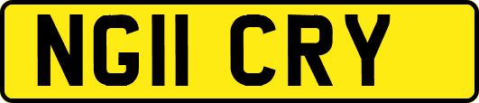 NG11CRY