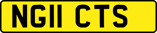 NG11CTS