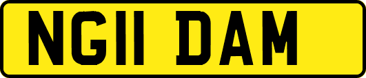 NG11DAM
