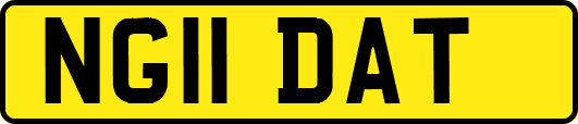 NG11DAT