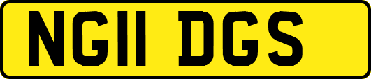 NG11DGS