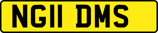 NG11DMS