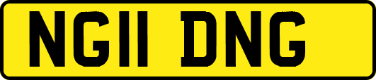 NG11DNG