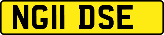 NG11DSE