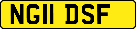 NG11DSF