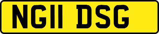 NG11DSG