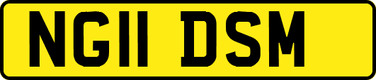 NG11DSM