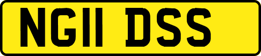NG11DSS