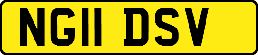 NG11DSV