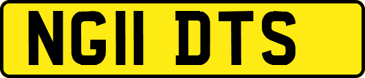 NG11DTS