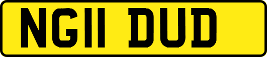 NG11DUD