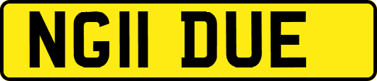 NG11DUE