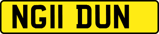 NG11DUN