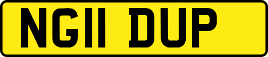 NG11DUP