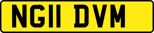 NG11DVM