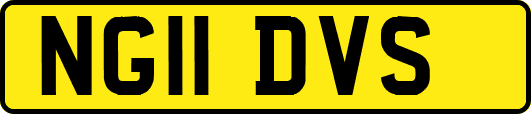 NG11DVS