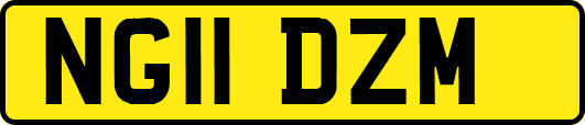 NG11DZM