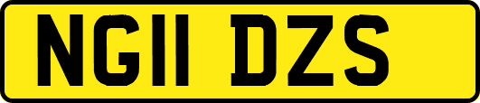 NG11DZS
