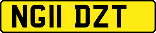 NG11DZT