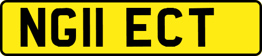 NG11ECT