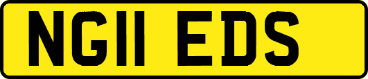 NG11EDS