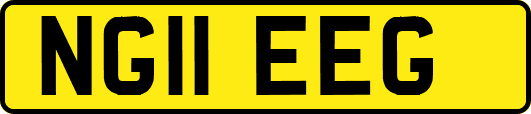 NG11EEG