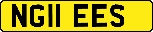NG11EES