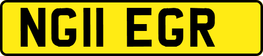 NG11EGR