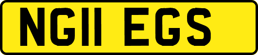 NG11EGS