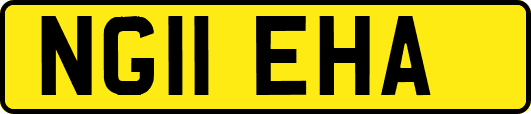 NG11EHA