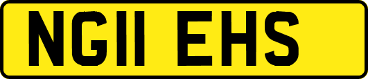 NG11EHS