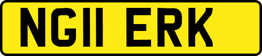 NG11ERK