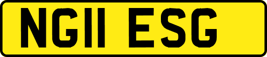 NG11ESG