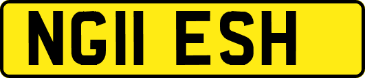 NG11ESH