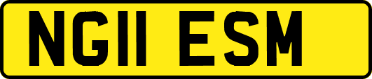 NG11ESM