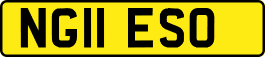 NG11ESO