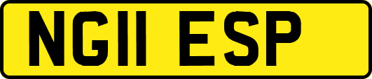 NG11ESP