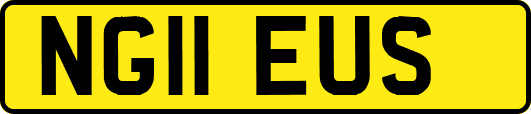 NG11EUS