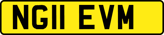 NG11EVM