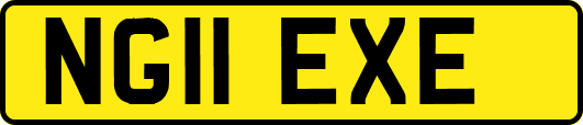 NG11EXE