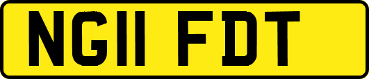 NG11FDT