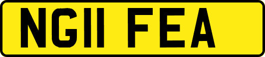 NG11FEA