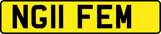 NG11FEM