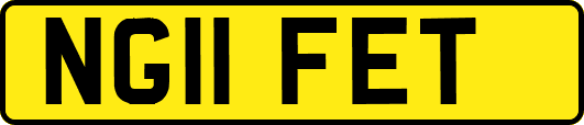 NG11FET