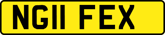 NG11FEX