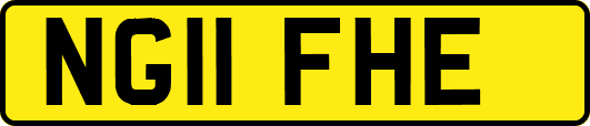 NG11FHE