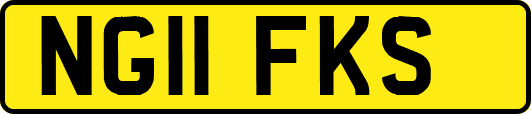 NG11FKS