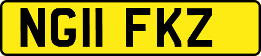 NG11FKZ