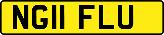 NG11FLU